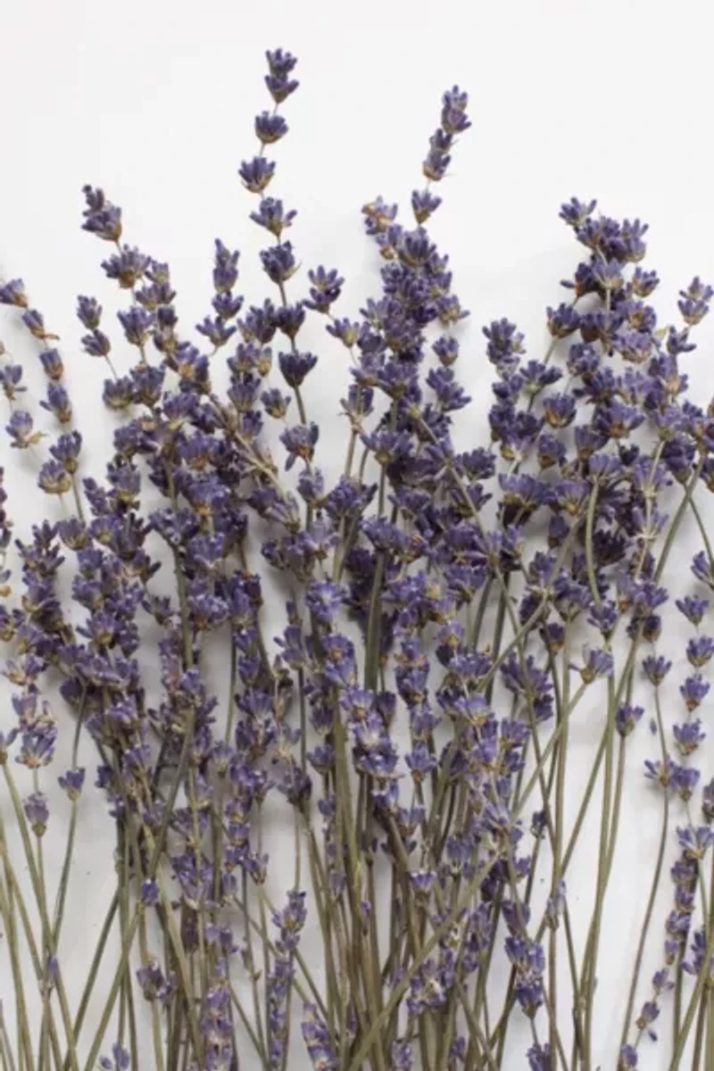 Roxanne's Dried Flowers English Lavender