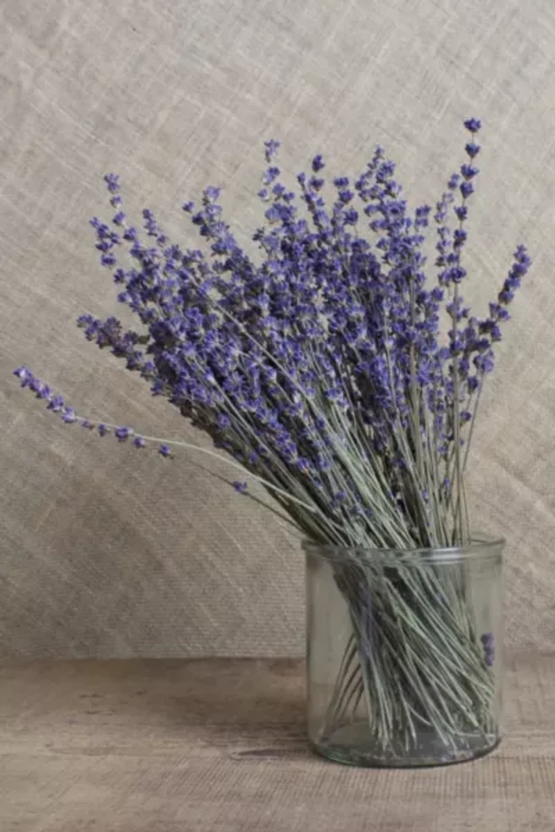 Roxanne's Dried Flowers English Lavender