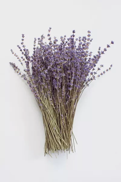 Roxanne's Dried Flowers English Lavender