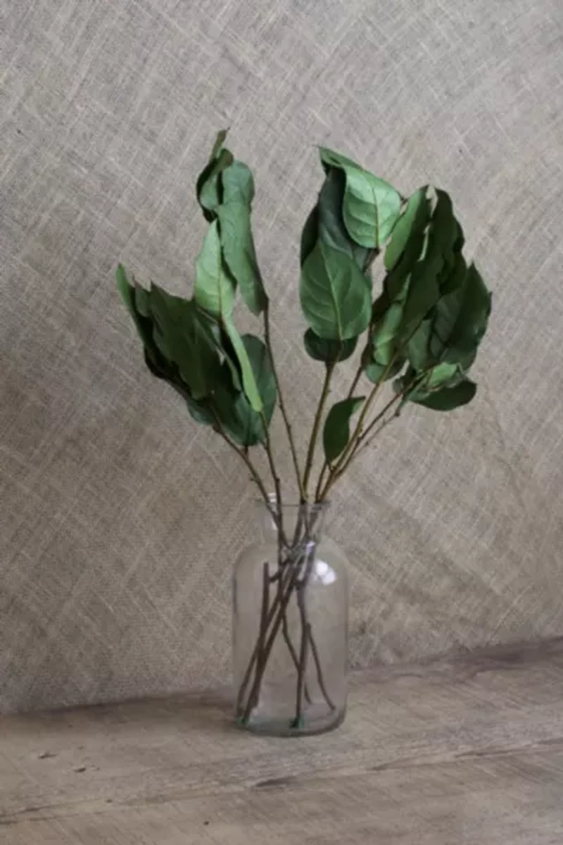 Roxanne's Dried Flowers Lemon Leaves