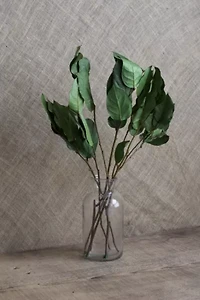 Roxanne's Dried Flowers Lemon Leaves