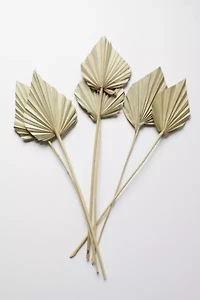 Roxanne's Dried Flowers Palm Spears