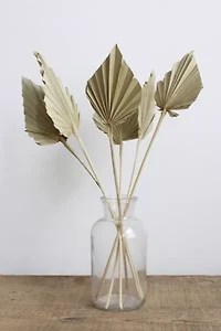 Roxanne's Dried Flowers Palm Spears
