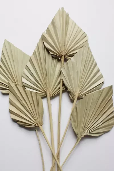 Roxanne's Dried Flowers Palm Spears