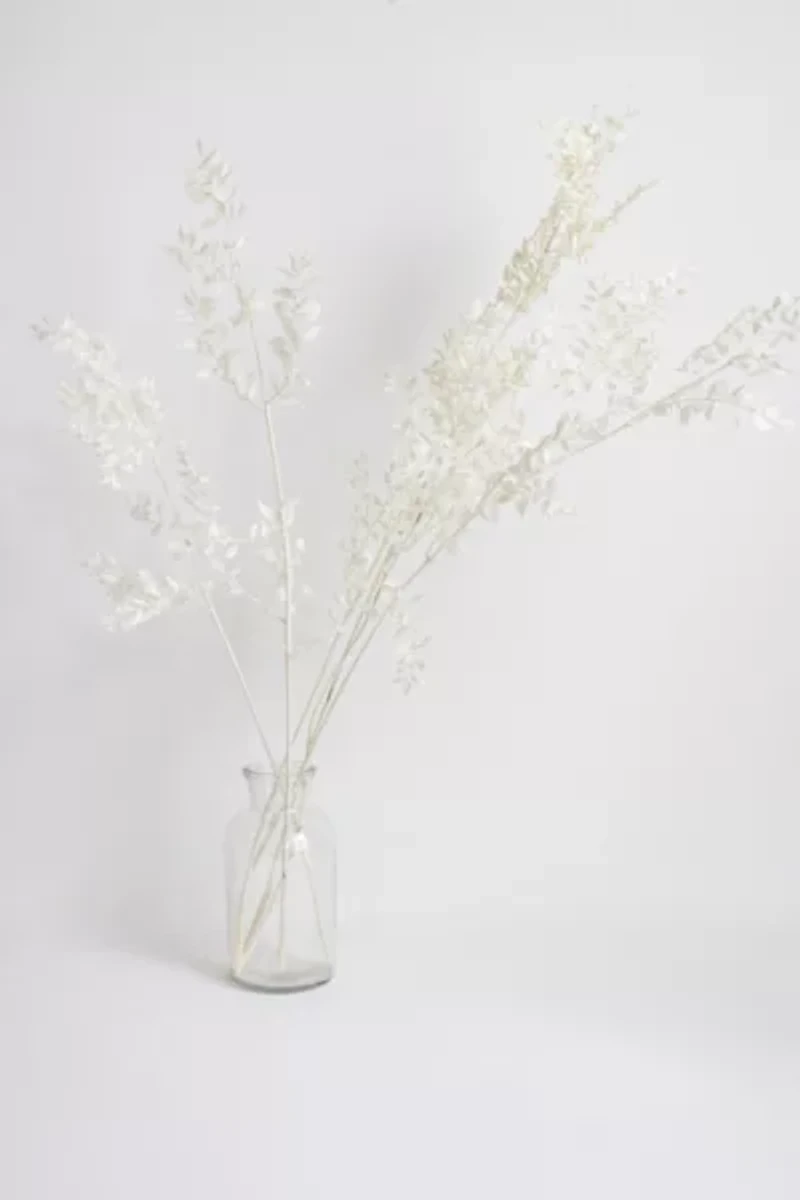 Roxanne's Dried Flowers Ruscus