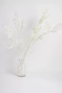 Roxanne's Dried Flowers Ruscus