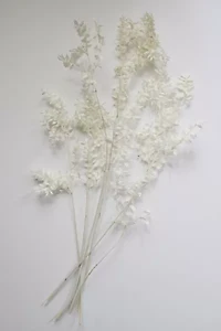 Roxanne's Dried Flowers Ruscus