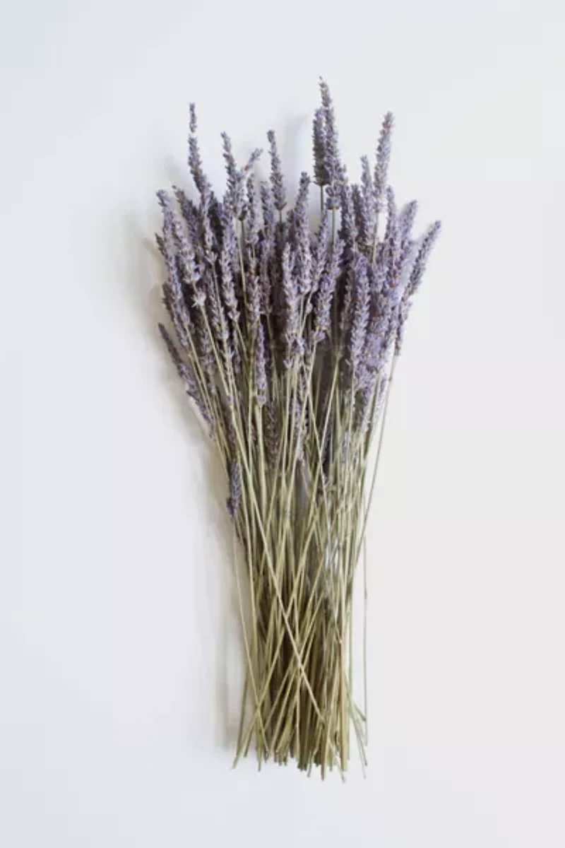 Roxanne's Dried Flowers French Lavender