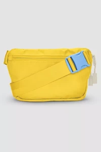 BABOON TO THE MOON Fannypack