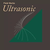 Field Works: Ultrasonic / Various - Field Works: Ultrasonic LP