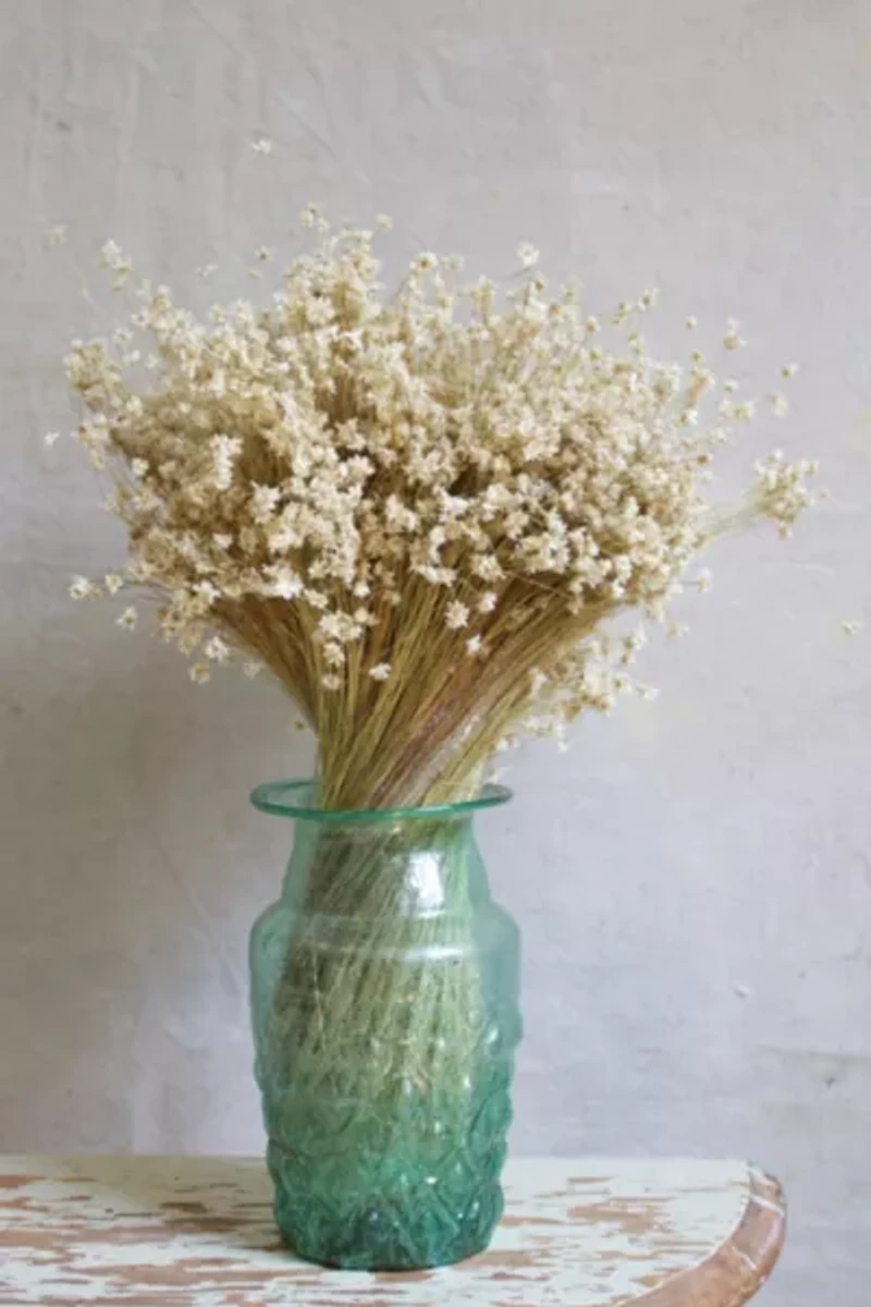 Roxanne's Dried Flowers Star Flowers