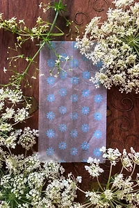Burner Babe Blossom Rolling Papers