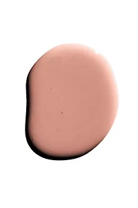 Backdrop Standard Finish Paint - 1 Gallon