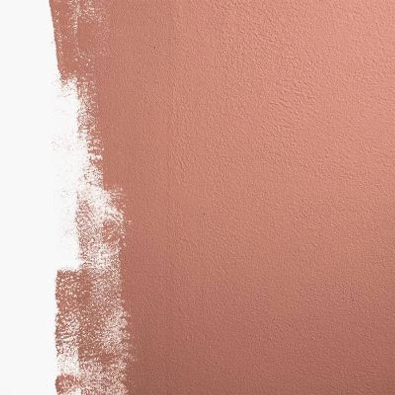 Backdrop Standard Finish Paint - 1 Gallon