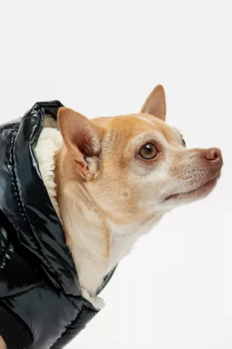 Silver Paw Dog Emma Quilted Fleece Jacket
