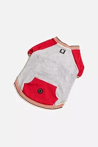 Silver Paw Dog Chase Raglan Sweatshirt