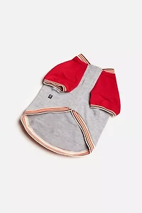 Silver Paw Dog Chase Raglan Sweatshirt