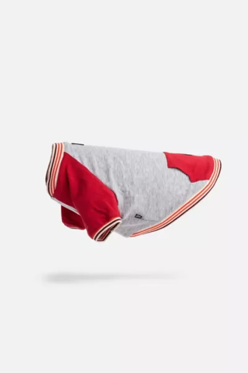 Silver Paw Dog Chase Raglan Sweatshirt