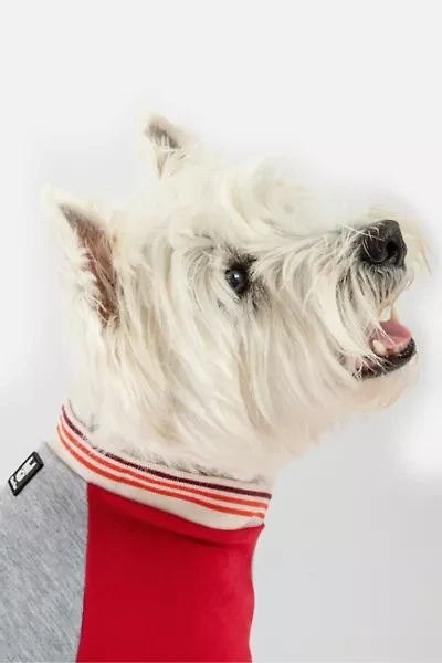 Silver Paw Dog Chase Raglan Sweatshirt
