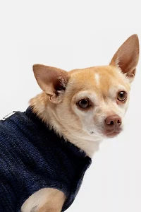 Silver Paw Dog Mia Fleece Lined Sweater
