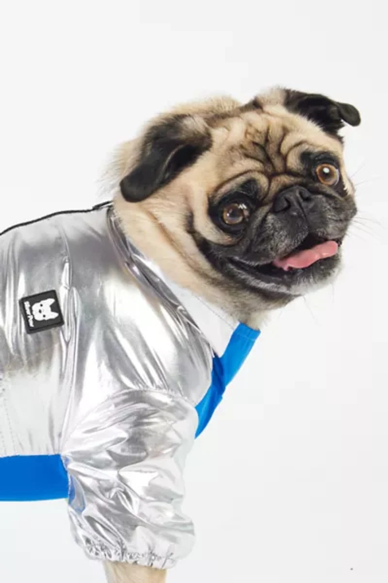 Silver Paw Dog Rick Tracksuit