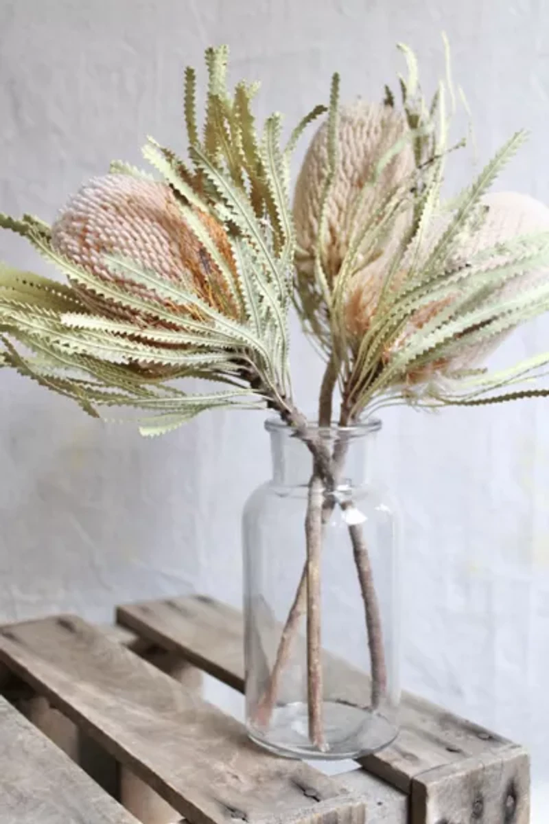 Roxanne's Dried Flowers Banksia Hookeriana