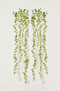 RoomMates String Of Pearls Vine Peel And Stick Wall Decal Set