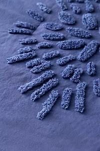 Jackie Icon Tufted Comforter