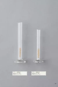 Puebco Single Flower Glass Lab Vase