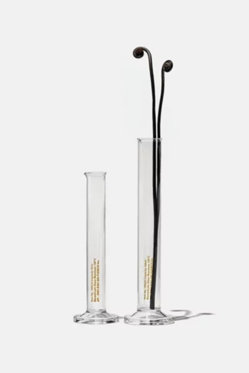 Puebco Single Flower Glass Lab Vase