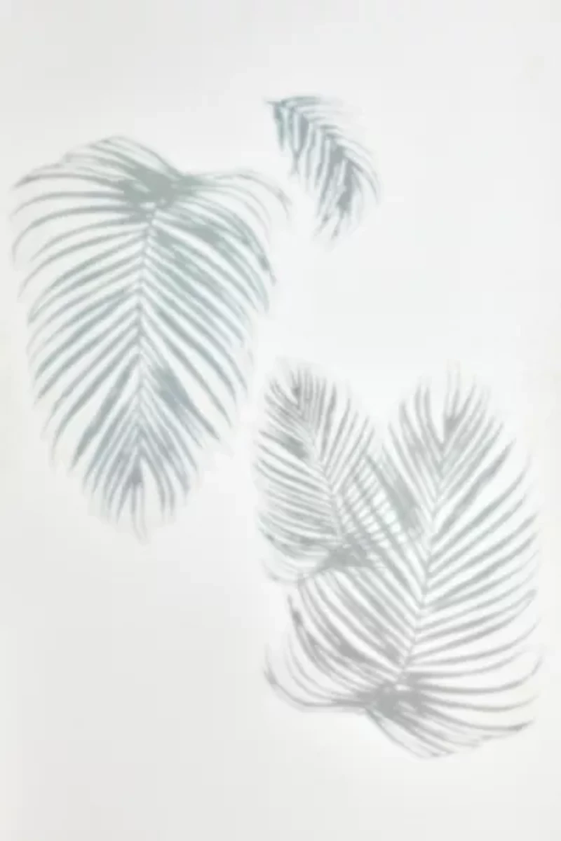 Palm Shadow Peel And Stick XL Giant Wall Decals