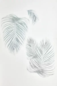 Palm Shadow Peel And Stick XL Giant Wall Decals