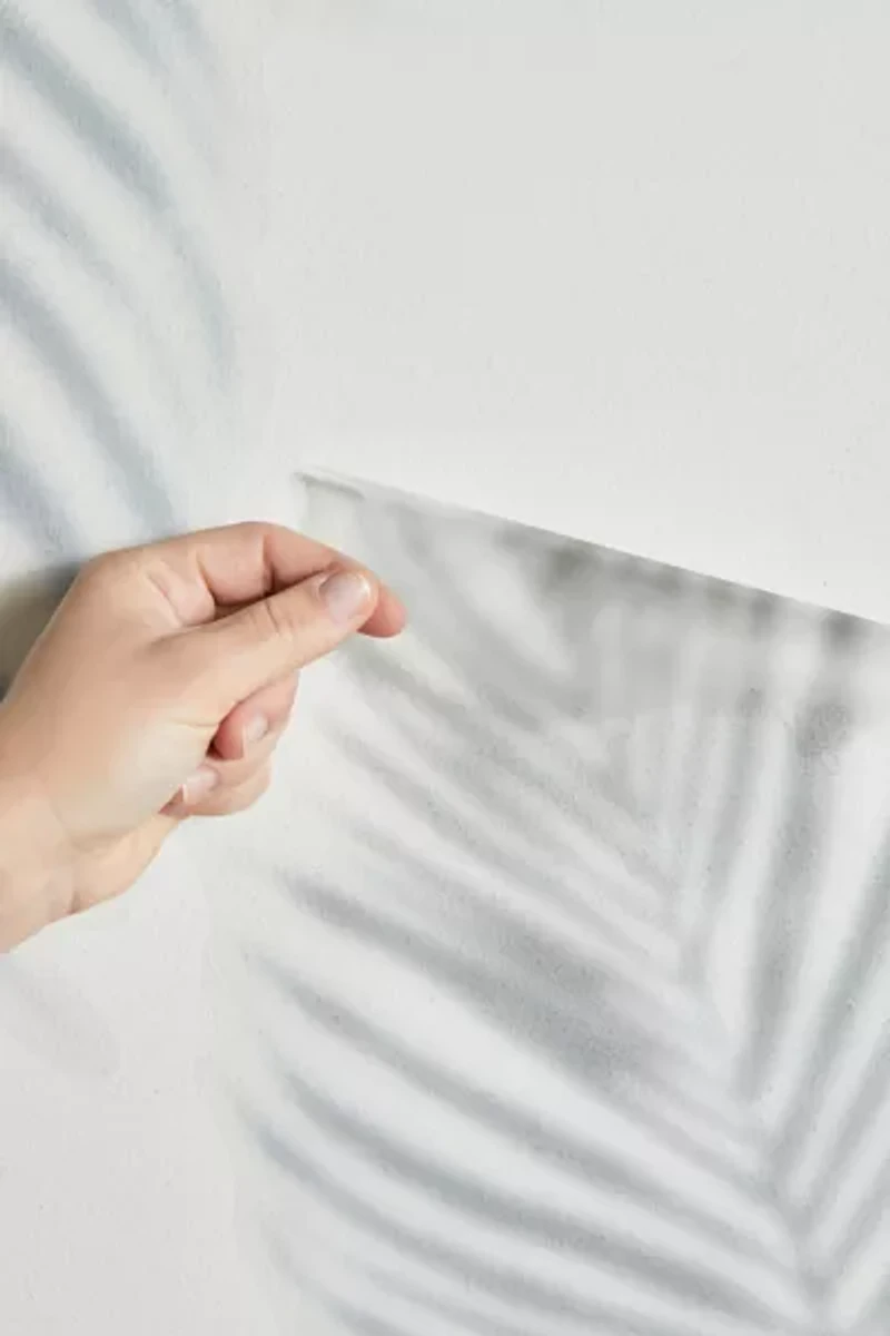 Palm Shadow Peel And Stick XL Giant Wall Decals