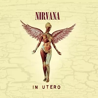 Nirvana - In Utero: 20th Anniversary CD