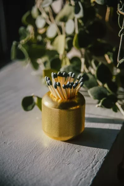 Craighill Cast Iron Match Case + Striker