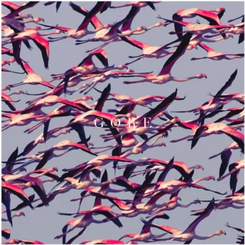 Deftones - Gore 2XLP