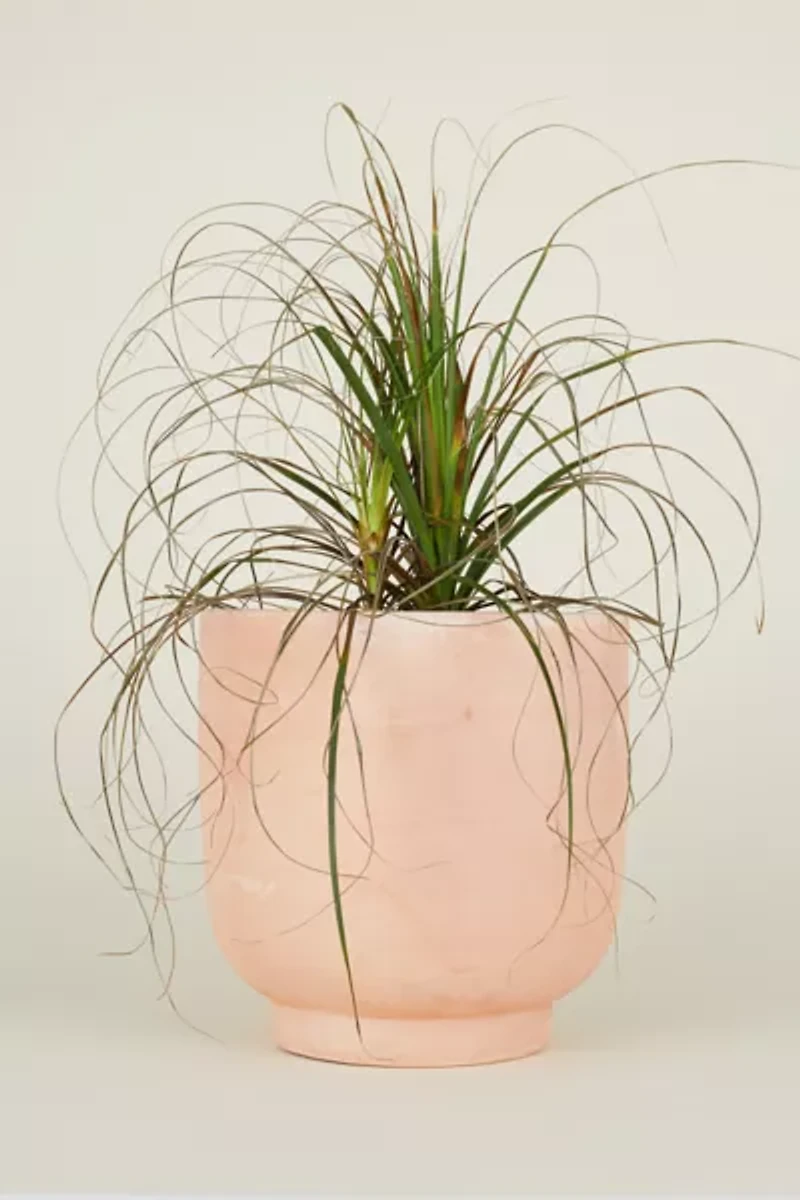 Hawkins New York Footed Terracotta Planter