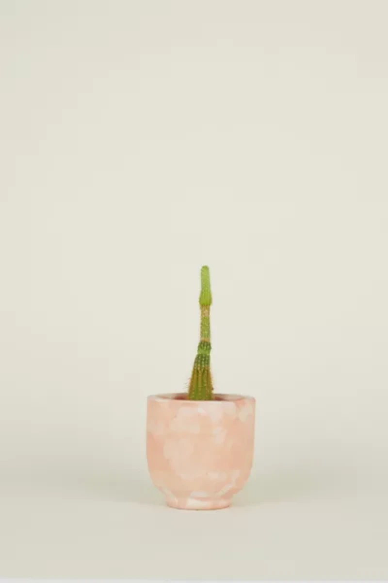 Hawkins New York Footed Terracotta Planter