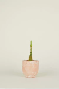 Hawkins New York Footed Terracotta Planter