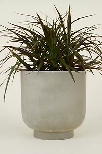 Hawkins New York Footed Fiber Cement Planter