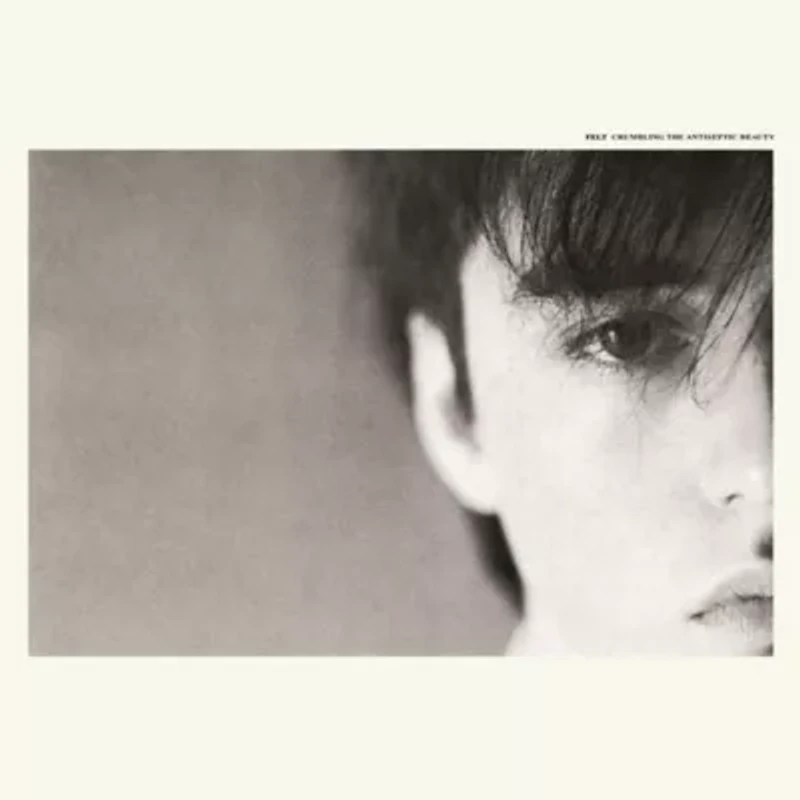 Felt - Crumbling The Antiseptic Beauty LP
