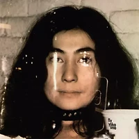 Yoko Ono - Fly LP