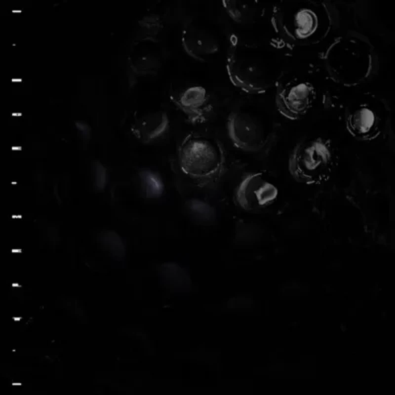 Crumb - Ice Melt LP