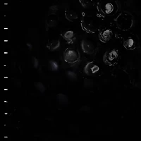 Crumb - Ice Melt LP