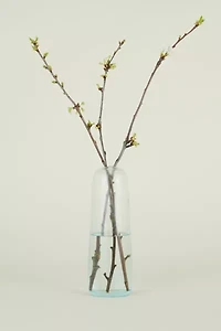 Hawkins New York Pill Recycled Glass Vase