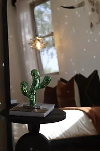 Sofiest Designs Disco Cactus
