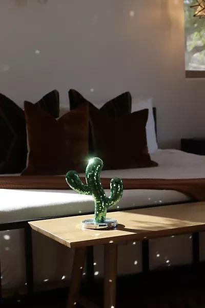 Sofiest Designs Disco Cactus