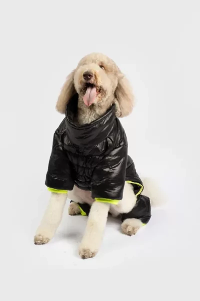 Silver Paw Whistler Full Body Dog Snowsuit