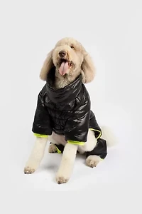 Silver Paw Whistler Full Body Dog Snowsuit
