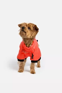 Silver Paw Whistler Full Body Dog Snowsuit